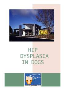 HIP DYSPLASIA IN DOGS HIP DYSPLASIA IN DOGS One of the most common causes