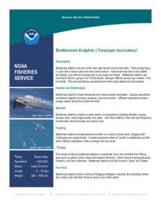 Science, Service, Stewardship  Bottlenose Dolphin (Tursiops truncatus) NOAA FISHERIES