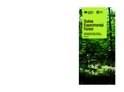 Silviculture / Selection cutting / Old-growth forest / Experimental Forest / Forest / Lumber / Dukes Research Natural Area / Forestry / Environment / Land management