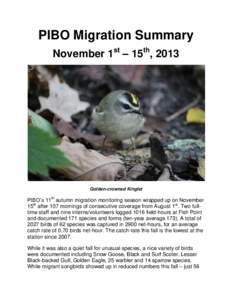 PIBO Migration Summary November 1st – 15th, 2013 Golden-crowned Kinglet  PIBO’s 11th autumn migration monitoring season wrapped up on November