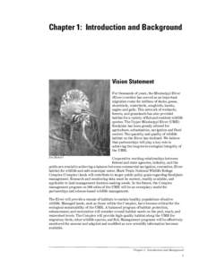 Chapter 1: Introduction and Background  Vision Statement For thousands of years, the Mississippi River (River) corridor has served as an important migration route for millions of ducks, geese,