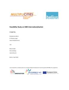    	
  	
      Feasibility	
  Study	
  on	
  SME	
  Internationalisation	
  
