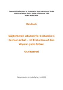 Wissenschaftliche Begleitung zur Umsetzung des Sonderprogramms des Bundes, Investitionsprogramm „Zukunft, Bildung und Betreuung“ (IZBB) im Land Sachsen-Anhalt Handbuch