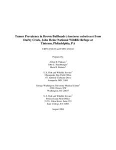 Tumor Prevalence in Brown Bullheads (Ameiurus nebulosus) from Darby Creek, John Heinz National Wildlife Refuge at Tinicum, Philadelphia, PA CBFO-C04-03 and PAFO-C04-02  Prepared by