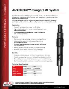 P l u n ger L i f t S y stems — P lu n ger  JackRabbit™ Plunger Lift System