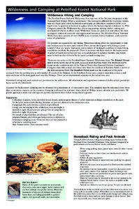 Wilderness and Camping at Petrified Forest National Park Wilderness Hiking and Camping The Petrified Forest National Wilderness Area was one of the first two designated in the