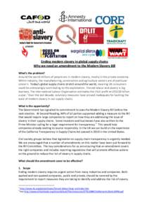 Ending modern slavery in global supply chains Why we need an amendment to the Modern Slavery Bill What’s the problem? Around the world millions of people are in modern slavery, mostly in the private economy. Within ind