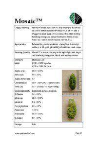 Sesquiterpenes / Monoterpenes / Food and drink / Humulene / Tangerine / Caryophyllene / Myrcene / Farnesene / Beta-Pinene / Alkenes / Chemistry / Flavors