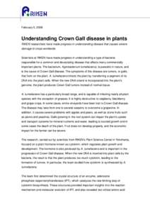 February 5, 2008  Understanding Crown Gall disease in plants RIKEN researchers have made progress in understanding disease that causes severe damage to crops worldwide Scientists at RIKEN have made progress in understand