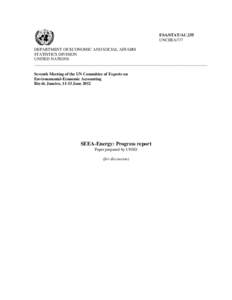 ESA/STAT/AC.255 UNCEEA/7/7 DEPARTMENT OF ECONOMIC AND SOCIAL AFFAIRS STATISTICS DIVISION UNITED NATIONS ___________________________________________________________________________________