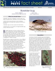 Published by Utah State University Extension and Utah Plant Pest Diagnostic Laboratory  ENT[removed]June 2010