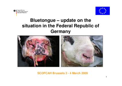 Standbild  Bluetongue – update on the situation in the Federal Republic of Germany