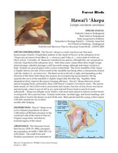 Hakalau Forest National Wildlife Refuge / Hawaiʻi Creeper / ‘Akeke‘e / Metrosideros polymorpha / Fringillidae / Fauna of the United States / ʻAkepa
