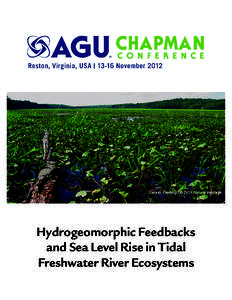 Hydrogeomorphic Feedbacks and Sea Level Rise in Tidal Freshwater River Ecosystems AGU Chapman Conference on Hydrogeomorphic Feedbacks and Sea Level Rise in Tidal