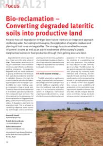 Focus  Bio-reclamation – Converting degraded lateritic soils into productive land Not only has soil degradation in Niger been halted thanks to an integrated approach