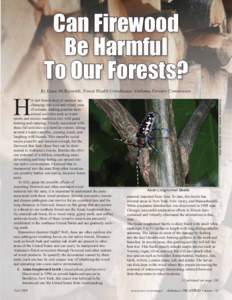 Can Firewood Be Harmful To Our Forests? By Dana McReynolds, Forest Health Coordinator, Alabama Forestry Commission  Fall 20099