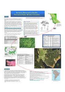 Invasive Burweed in Ruckle Provincial Park, British Columbia Problem