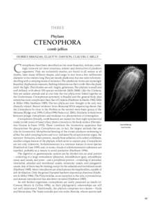 THREE Phylum CTENOPHORA comb jellies HERMES MIANZAN, Elliot W. Dawson, CLAUDIA E. MILLS