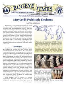 Extinction / Mastodon / Gomphothere / Mammutidae / American mastodon / Proboscidea / Mammoth / Elephant / Calvert Marine Museum / Cenozoic / Pleistocene extinctions / Phanerozoic