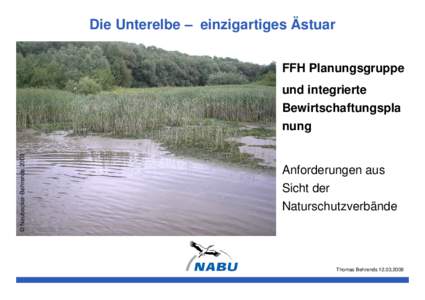 Die Unterelbe – einzigartiges Ästuar FFH Planungsgruppe © Neubecker-Behrendsund integrierte