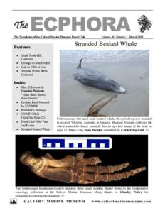 The  ECPHORA The Newsletter of the Calvert Marine Museum Fossil Club