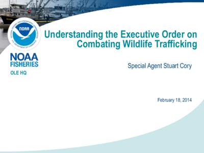 Understanding the Executive Order on Combating Wildlife Trafficking Special Agent Stuart Cory OLE HQ  February 18, 2014