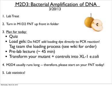 M2D3: Bacterial Amplification of DNA[removed]Lab Treat 2. Turn in M1D2 FNT up front in folder 3. Plan for today: