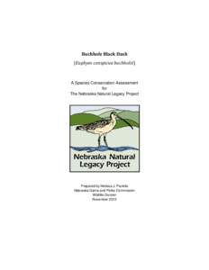 Buchholz Black Dash (Euphyes conspicua buchholzi) A Species Conservation Assessment for The Nebraska Natural Legacy Project