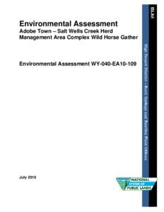 Feral horses / Bureau of Land Management / Conservation in the United States / United States Department of the Interior / Wildland fire suppression / Horse / Pryor Mountains Wild Horse Range / Equidae / Land management / Equus