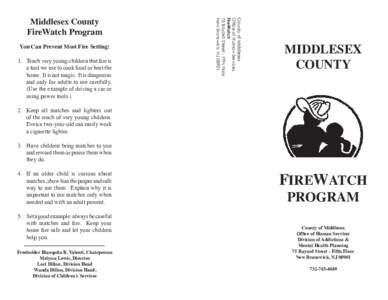 You Can Prevent Most Fire Setting: 1.	 Teach very young children that fire is a tool we use to cook food or heat the home.  It is not magic.  It is dangerous and only for adults to use carefully.   (Use the example of dr