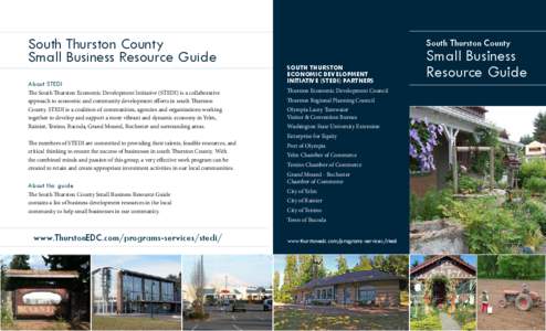 South Thurston County Small Business Resource Guide About STEDI The South Thurston Economic Development Initiative (STEDI) is a collaborative approach to economic and community development efforts in south Thurston Count