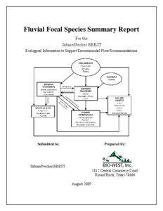 TURBIDITY MONITORING AND OYSTER RECRUITMENT STUDY: