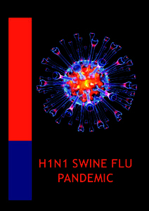 H1N1 SWINE FLU PANDEMIC 2  PANDEMIC H1N1 SWINE FLU