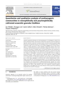 Quantitative and qualitative analysis of methanogenic communities in mesophilically and psychrophilically cultivated anaerobic granular biofilims