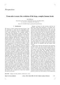 Perspectives  From mice to men: the evolution of the large, complex human brain JON H KAAS Department of Psychology, Vanderbilt University, 301 Wilson Hall, 111, 21st Ave. S, Nashville, TN 37240, USA