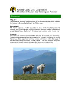 Grande Cache Coal Corporation Mount Hamell Mountain Goat Monitoring and Protection Environment