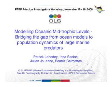 PFRP Principal Investigators Workshop, November, 2008 PAGE 1 Modelling Oceanic Mid-trophic Levels Bridging the gap from ocean models to population dynamics of large marine predators