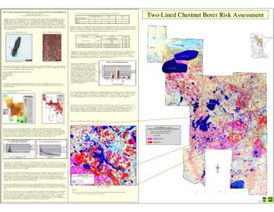 Two-Lined Chestnut Borer Risk Assessment in North Central Minnesota