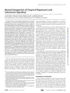 THE JOURNAL OF BIOLOGICAL CHEMISTRY VOL. 281, NO. 44, pp –33007, November 3, 2006 © 2006 by The American Society for Biochemistry and Molecular Biology, Inc. Printed in the U.S.A. Mutual Antagonism of Target of