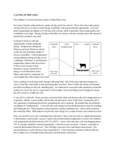 CALVING IN THE COLD Chris Shelley, Livestock Extension Agent, Golden Plains Area For many Colorado cattle producers, spring calving season has arrived. Those who select early spring calving often do so in order to match 