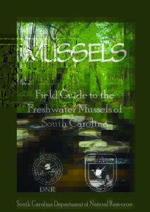 Field Guide to the Freshwater Mussels of South Carolina South Carolina Department of Natural Resources