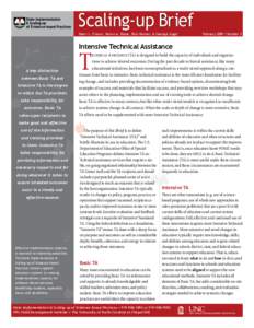 Scaling-up Brief Dean L. Fixsen, Karen A. Blase, Rob Horner, & George Sugai February 2009 | Number 2  Intensive Technical Assistance