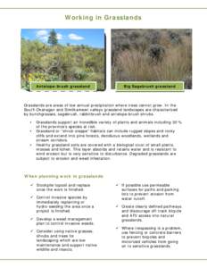 Working in Grasslands  Antelope-brush grassland Big Sagebrush grassland