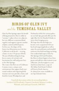 Birds of Glen Ivy and the Temescal Valley Glen Ivy Hot Springs enjoys the benefit of being situated in what is called an “ecotone,” a place where two adjacent,
