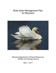 Mute Swan Management Plan for Maryland Maryland Department of Natural Resources Wildlife and Heritage Service April 1, 2011