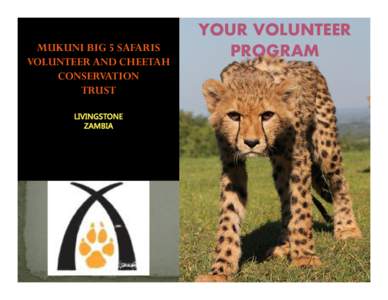 MUKUNI BIG 5 SAFARIS VOLUNTEER AND CHEETAH CONSERVATION TRUST LIVINGSTONE ZAMBIA