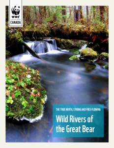 THE TRUE NORTH, STRONG AND FREE-FLOWING  Wild Rivers of the Great Bear  Front cover: A stream flowing through temperate rainforest in