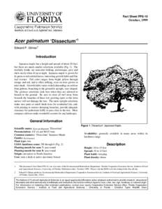 Fact Sheet FPS-10  October, 1999 Acer palmatum ‘Dissectum’1 Edward F. Gilman2