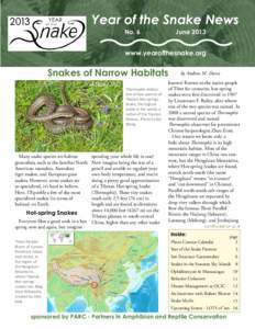 Year of the Snake News No. 6 June 2013
