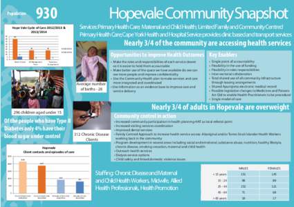 Hopevale Community Snapshot.ai